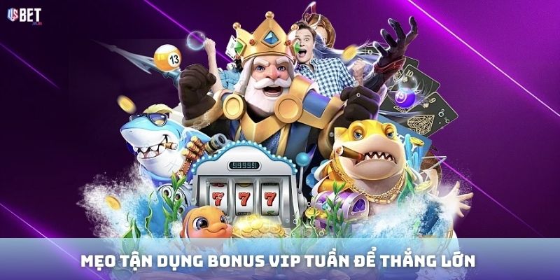 Bonus VIP tuần – Ưu đãi độc quyền cho thành viên cao cấp tại USBET Mẹo tận dụng bonus VIP tuần để thắng lớn