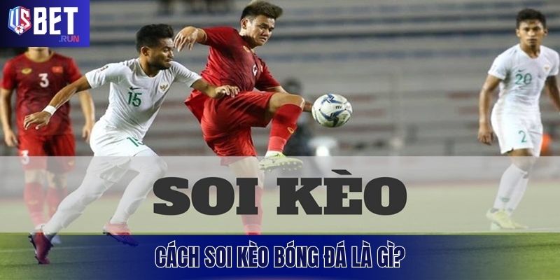 Khái niệm cách soi kèo bóng đá và những điều cần biết