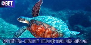 Mơ Thấy Rùa – Khám Phá Thông Điệp Trong Giấc Chiêm Bao